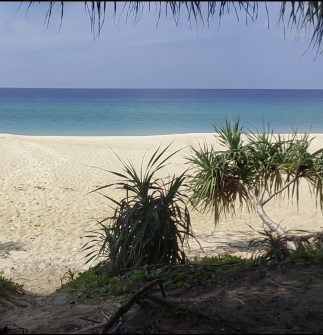 Maisemakuva meren rannalta